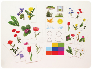 Набор магнитных карточек "Загадки-отрицания". Цветы - fgospostavki.ru - Белово