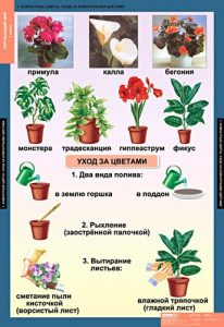 Комплект таблиц. Окружающий мир 1 класс. - fgospostavki.ru - Белово
