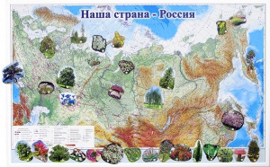 Магнитные карточки "Растения" - fgospostavki.ru - Белово