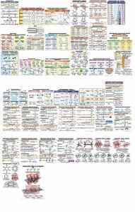 Комплект таблиц "Органическая химия" (39 штук, ламинированные) - fgospostavki.ru - Белово
