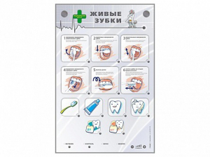 Интерактивный стенд "Живые зубки" - fgospostavki.ru - Белово