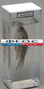 Влажный препарат "Карась" - fgospostavki.ru - Белово