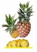 Комплект карточек "Запоминай, играй, считай" - Фрукты - fgospostavki.ru - Белово