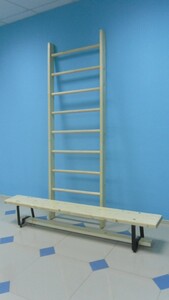 Стенка гимнастическая шведская премиум (1000х3200 мм) - fgospostavki.ru - Белово