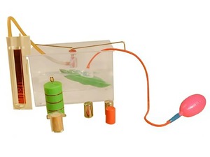 Лабораторный набор "Гидростатика, плавание тел" - fgospostavki.ru - Белово