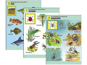 Комплект таблиц "Окружающий мир. Животный мир" (8 таблиц, А1, ламинированные) - fgospostavki.ru - Белово