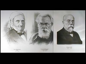 Портреты биологов (26 штук, формат А3) - fgospostavki.ru - Белово