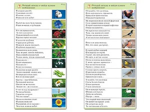 Комплект карточек (10) "Обучающий калейдоскоп. Природа" - fgospostavki.ru - Белово