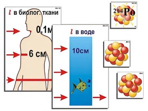 Модель-аппликация "Явление радиоактивности" (ламинированная) - fgospostavki.ru - Белово