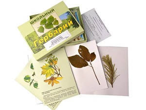 Гербарий "Жизненные формы цветковых растений" (раздаточный) - fgospostavki.ru - Белово