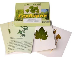 Гербарий "Систематика растений. Высшие споровые и семенные" (раздаточный) - fgospostavki.ru - Белово