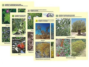 Гербарий фотографический по географии - fgospostavki.ru - Белово