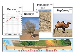 Модель-аппликация "Природные зоны" - fgospostavki.ru - Белово