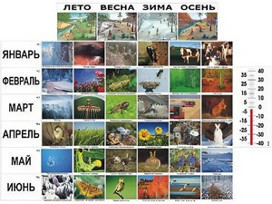 Фенологические наблюдения - fgospostavki.ru - Белово