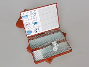 Комплект микропрепаратов "Ботаника 2" - fgospostavki.ru - Белово