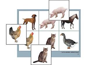Логопедическое лото "Домашние животные" (4 планшета, 24 карточки, цветное, ламинированное) - fgospostavki.ru - Белово