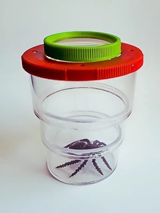 Коробка для изучения насекомых (с лупой) - fgospostavki.ru - Белово