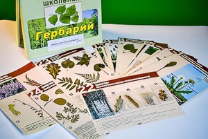 Гербарий к курсу основ общей биологии - fgospostavki.ru - Белово