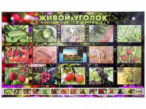 Комплект оборудования "Живой уголок" (растения) с тифлопереводом и сурдокомментариями - fgospostavki.ru - Белово