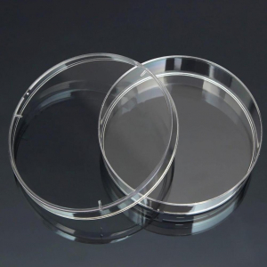 Чашка Петри стеклянная с крышкой 100х20 - fgospostavki.ru - Белово