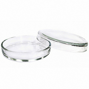 Чашка Петри 100х20 - fgospostavki.ru - Белово