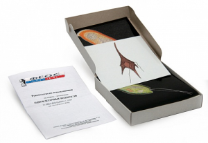 Модель-аппликация "Одноклеточные водоросли" (набор из 24 карт) - fgospostavki.ru - Белово