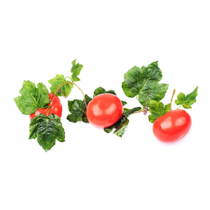 Ветка муляжей "Помидоры" - fgospostavki.ru - Белово