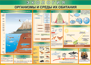 Таблица "Организмы и среды их обитания" (100х140 сантиметров, винил) - fgospostavki.ru - Белово