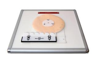 Комплекс "Изучение зубьев" - fgospostavki.ru - Белово