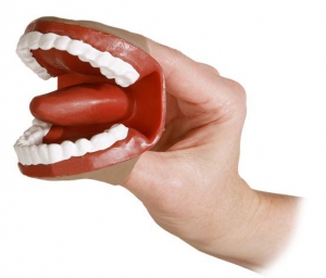 Муляж артикуляционного аппарата - fgospostavki.ru - Белово