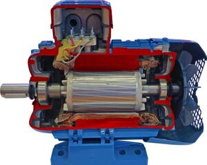 Учебная модель «Электродвигатель асинхронный в разрезе» - fgospostavki.ru - Белово