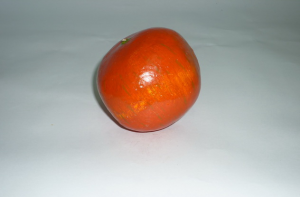 Муляж "Гранат" - fgospostavki.ru - Белово