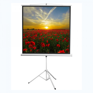 Экран на штативе DSKD-1105  - fgospostavki.ru - Белово