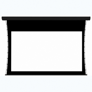 Экран настенный с электроприводом DSTPX-16918 - fgospostavki.ru - Белово