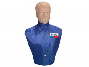 Тренажер-манекен взрослого пострадавшего "Искандер" для отработки приемов удаления инородного тела из верхних дыхательных путей - fgospostavki.ru - Белово