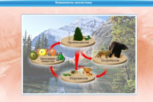 Интерактивные курсы. Биология 7 класс. Базовый. - fgospostavki.ru - Белово