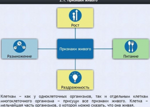 Интерактивные курсы. Биология 5 класс. Базовый - fgospostavki.ru - Белово