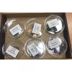 Раздаточная коллекция "Образцы полезных ископаемых и металлов" (15 видов) - fgospostavki.ru - Белово