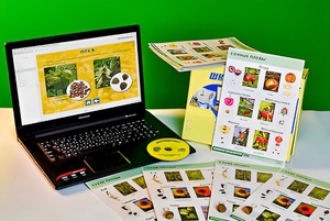 Коллекция натурально-интерактивная "Семена и плоды" - fgospostavki.ru - Белово