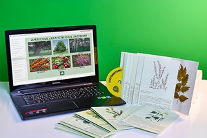 Гербарий натурально-интерактивный "Лекарственные растения" - fgospostavki.ru - Белово