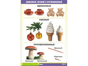 Таблица демонстрационная "Одинаковый, похожий и противоположный" (винил 70x100) - fgospostavki.ru - Белово