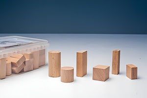 Игровой набор Фребеля "Конструктор" (50 элементов, бук, серия "Красота вокруг нас") - fgospostavki.ru - Белово