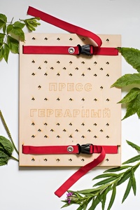 Пресс гербарный (сетка) - fgospostavki.ru - Белово