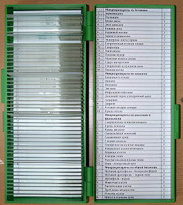 Набор микропрепаратов - fgospostavki.ru - Белово