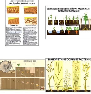 Плакаты ПРОФТЕХ "Агрономия" (5 пл, винил, 70х100) - fgospostavki.ru - Белово