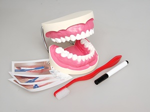 Игровой комплект "Чистим зубы" - fgospostavki.ru - Белово