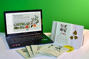 Гербарий натурально-интерактивный "Деревья и кустарники" - fgospostavki.ru - Белово