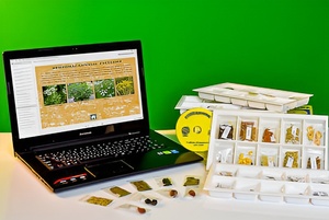 Коллекция натурально-интерактивная "Плоды сельскохозяйственных растений" - fgospostavki.ru - Белово