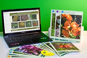 Гербарий натурально-интерактивный "Основные группы растений. Грибы. Лишайники" - fgospostavki.ru - Белово