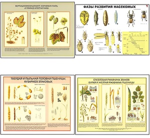 Плакаты ПРОФТЕХ "Вредители и болезни с/х культур и меры борьбы с ними" (11 пл, винил, 70х100) - fgospostavki.ru - Белово